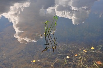 Захмарена весна