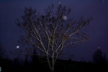 Спрага синьої ночі