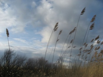 Квітень в дощах