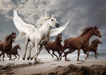 Незабудьте