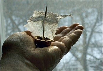 Кораблики дитинства