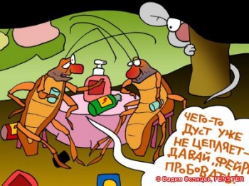 КУДИ ПОДІЛИСЬ ТАРГАНИ