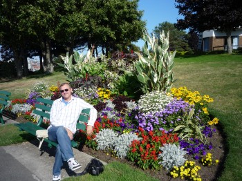 Смугасте життя