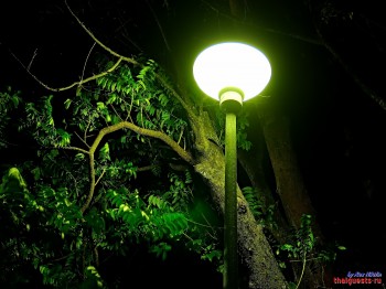 Світло ліхтаря