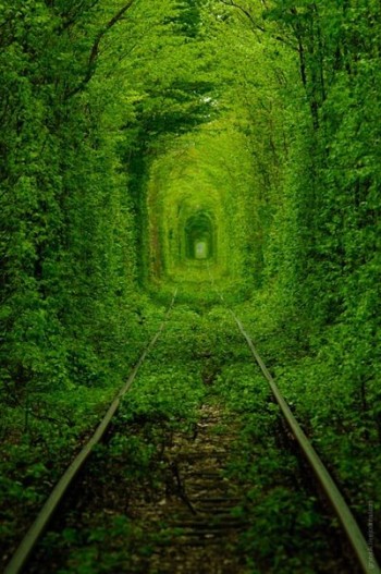 Тут обелісків ціла рота