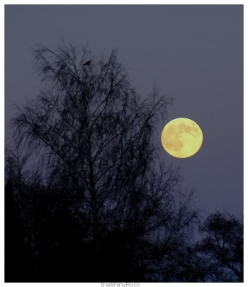 Де туман клубився