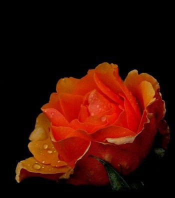 МІЖ ЗАБУТТЯ