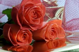 З днем народження!