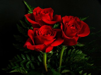 Любові слова