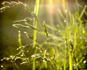 НА ПЕРШУ ШПАЛЬТУ!