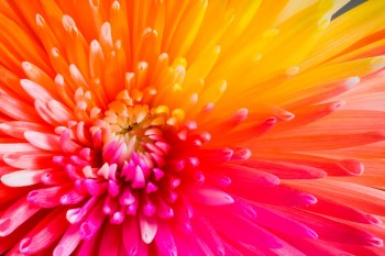 Осінній вальс