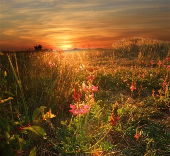 Підкрався вечір