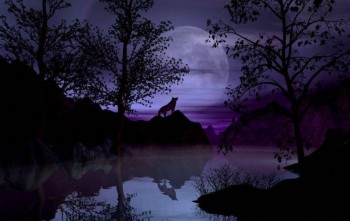 Дивна найкоротша ніч