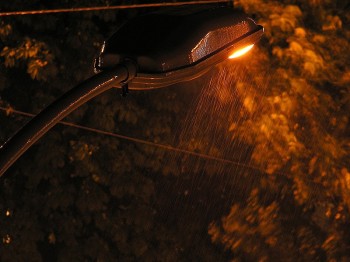 Нічний каприз