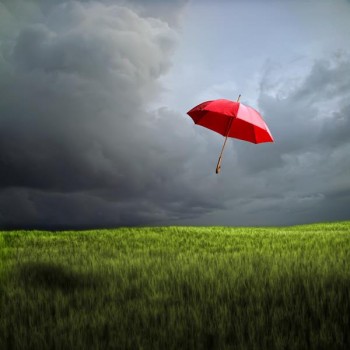 Політичний ринг