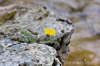СКРАЮ ВІД ЛЮБОВІ
