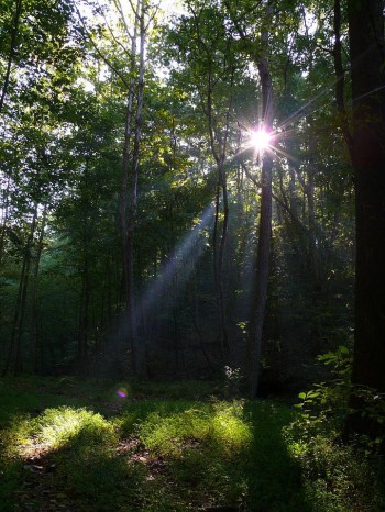 Етюд на пленері