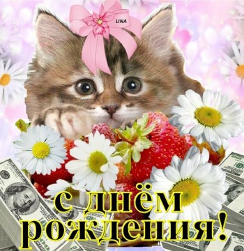 Привітання в день народження Каранді Галині