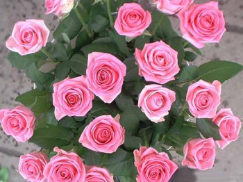 Народженій у зоряних дощах!