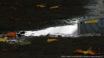 Шепоче листя...