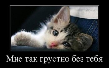 - Експромт -