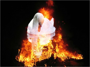 Вмирає лебідь