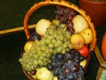 Яблуками, грушами літо опадає