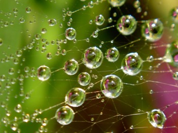 Скажіть щось хороше...