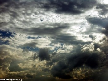 Претензія на осінь