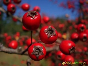 ХОЛОДНИЙ ГЛІД