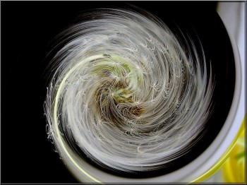 Не написаний лист