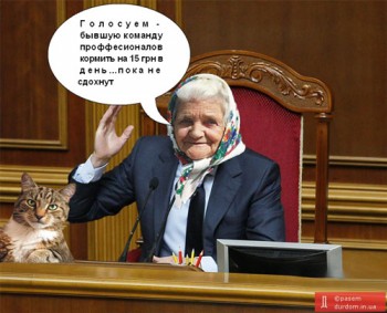 ГОЛОСУЙТЕ ЗА КОТА