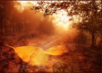 Жовтневий вечір