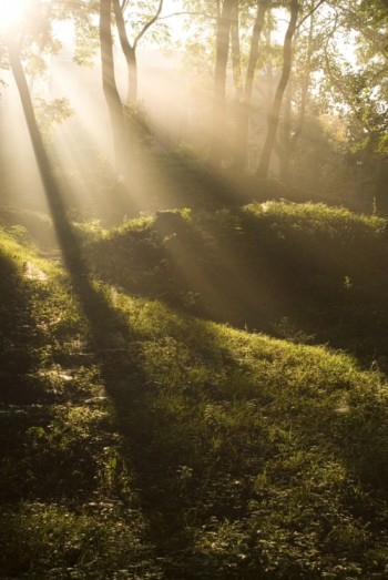ТУМАН І СОНЦЕ
