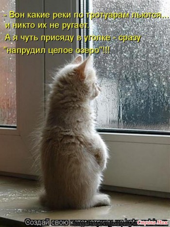 НАХАБНИЙ ОСІННІЙ ДОЩ