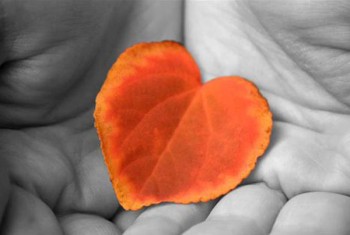 В ОСІННІХ НЕПРИКАЯНИХ ВІТРАХ