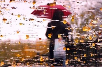 ХОЛОД ОСІННІХ ДОЩІВ