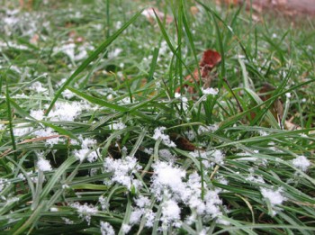 І падав сніг