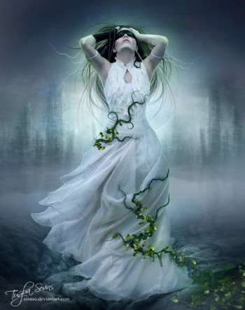 Сірі будинки