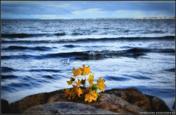 Міжсезоння