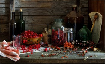 КАЛИНОВИЙ СМАК