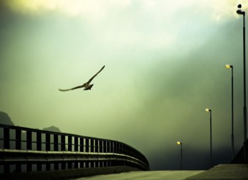 Меланхолія