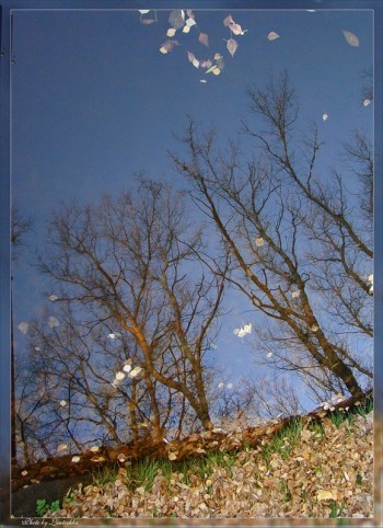 ЦІЛУНКОМ КАЗКИ ОСІНЬ МІЖ ХМАРИН