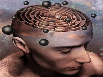 САД ЗДІЙСНЕННЯ ДУМОК