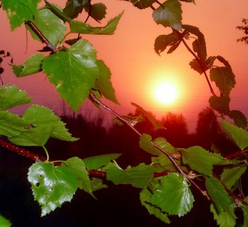 НЕСПРАВЖНЯ КАЗКА