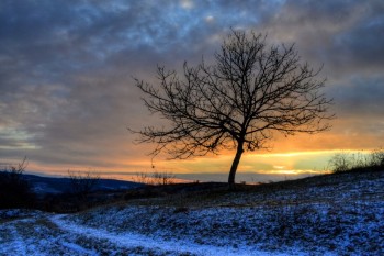 СВІТАНКОВИЙ ПОЛІТ У ТУМАНІ