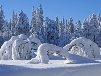 Точно по графіку