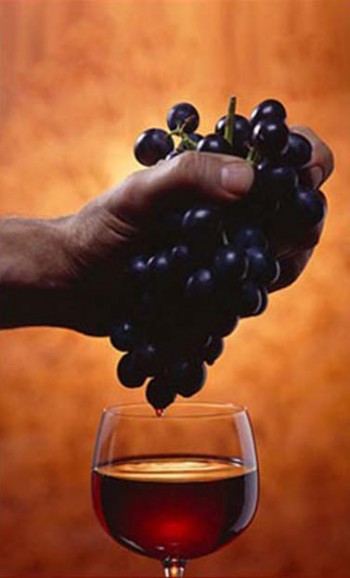 Інтиму доза