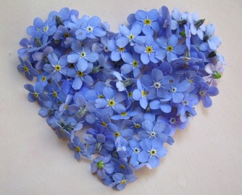 Не дам себе забути!