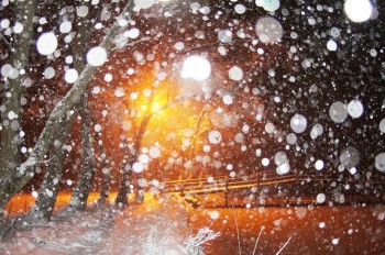 Суму спраглий сніг